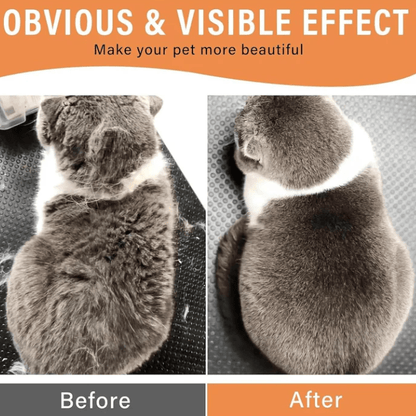 3 in 1 Pet Hair Removal Steam Comb, Perfect for Both Cats & Dogs 🐶🐱 - Yesh Mart