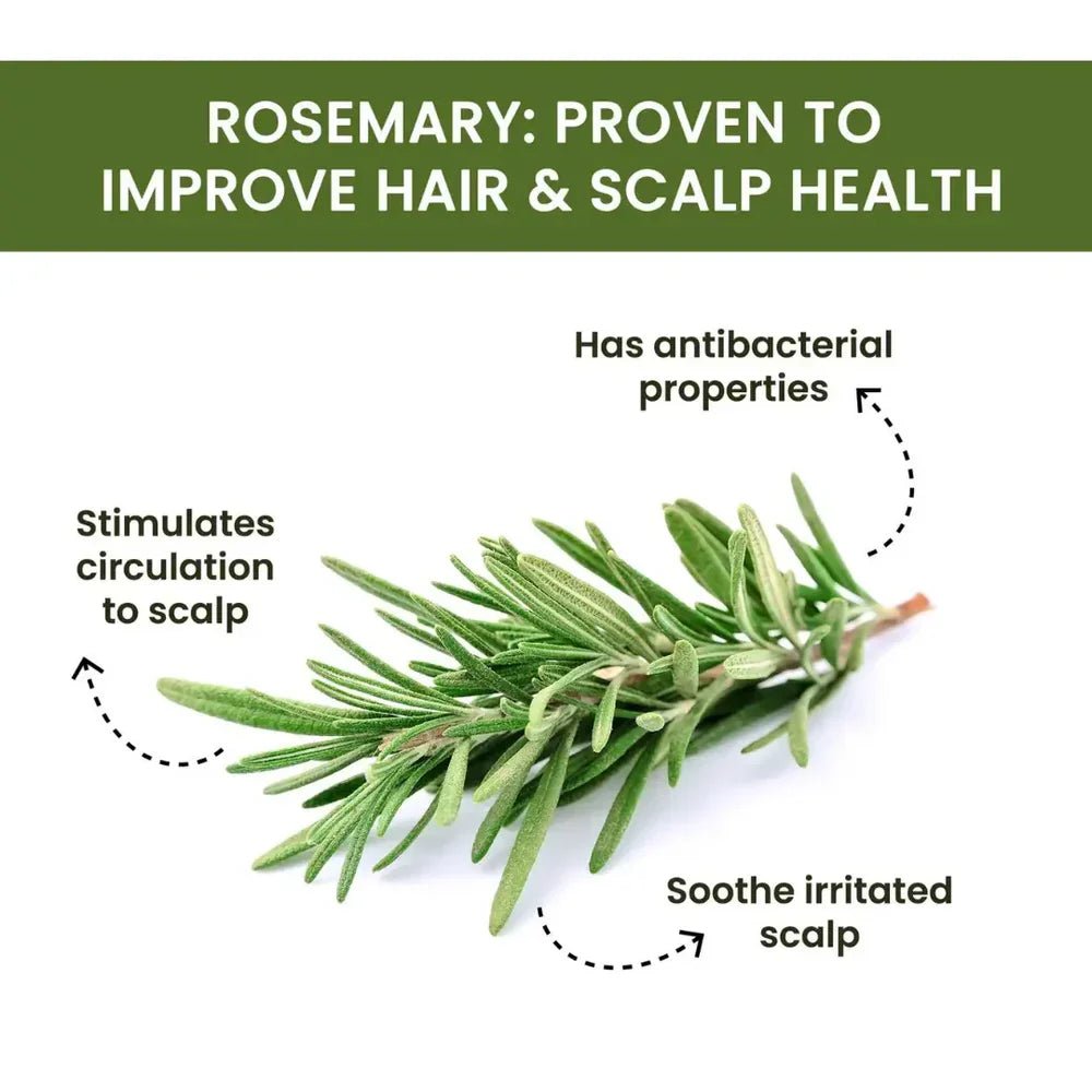 Rosemary Water Spray | For Hair Regrowth (Buy 1 Get 2 Free 😍) - Yesh Mart